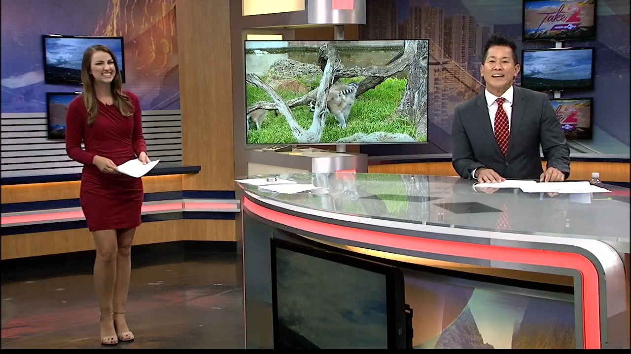 15 July - 19.00.00 - Wake Up 2Day - Take 2. Local news, sports and weat....ts_snapshot_00.48.47.101