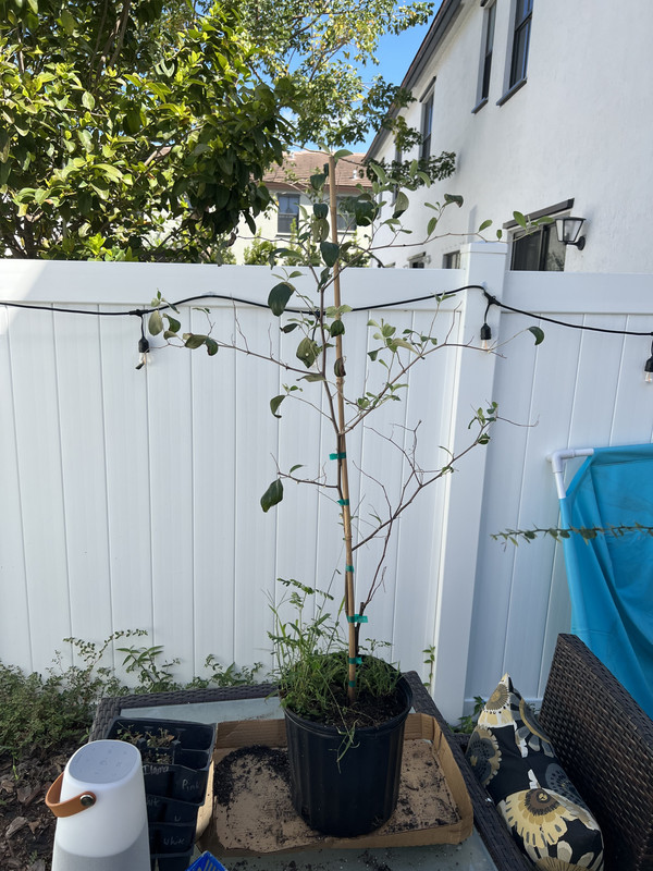 4CE72CFD-B3C5-4870-982F-463AAAEB80B8