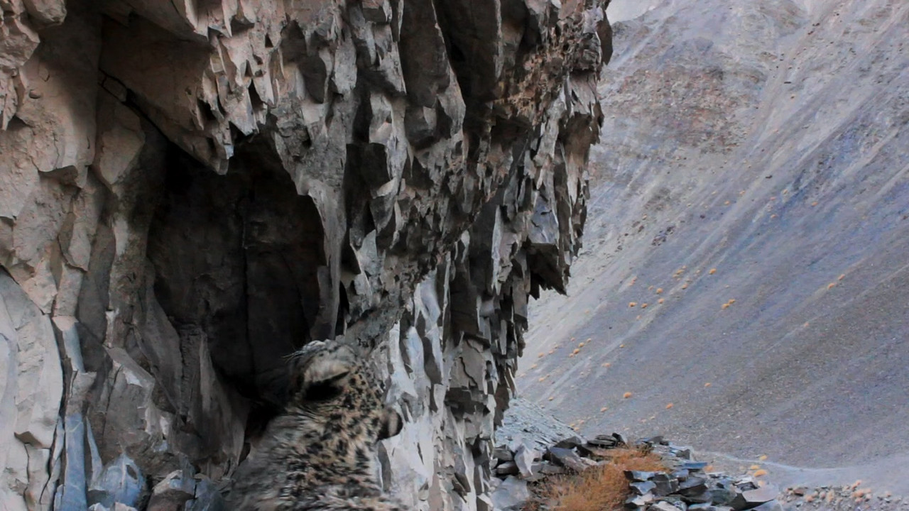 Planet Earth II S01E02 Mountains (1080p x265 10bit Tigole).mkv_s
