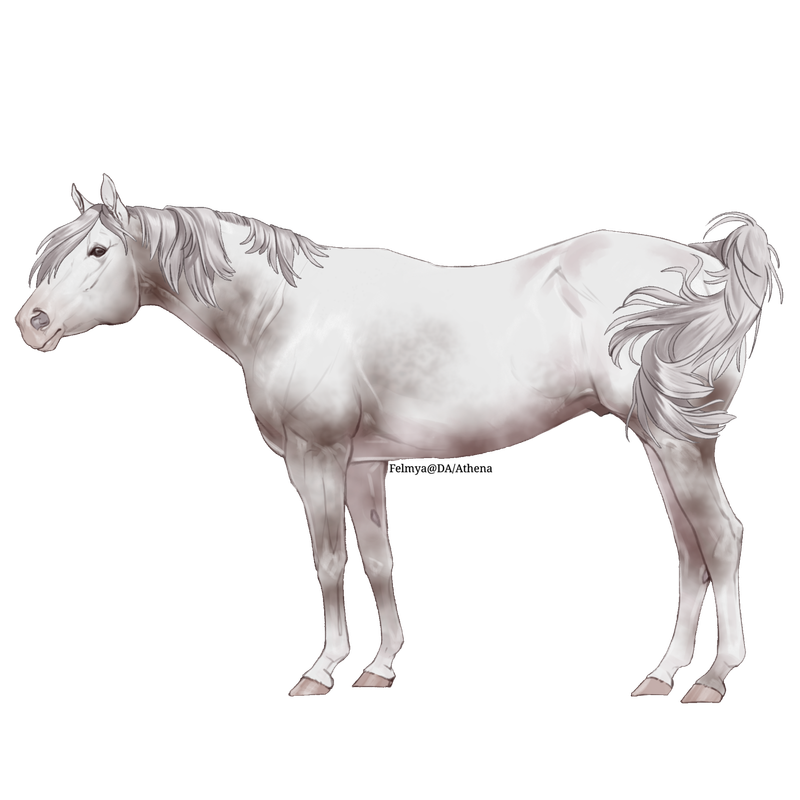 Untitled88-20250331151635.png