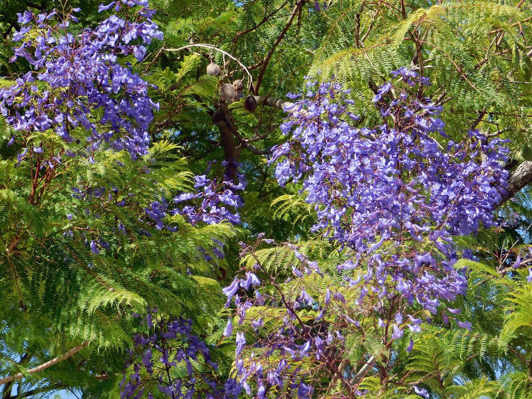 DSCN0845.jpg
