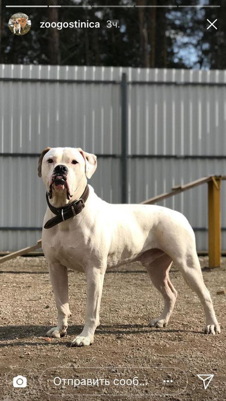 736F6113-79D2-450D-A581-ACCAF793C46F