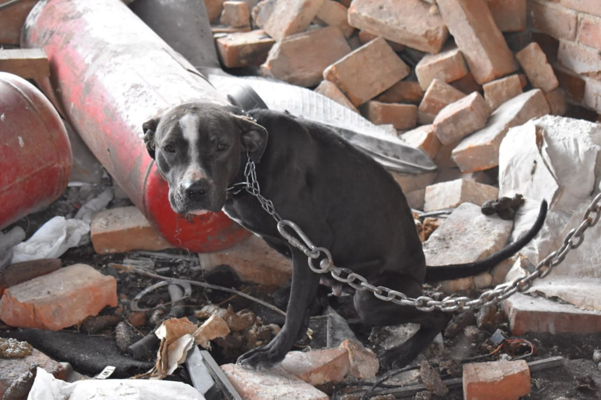 WhatsApp Image 2024-05-14 at 14.51.09 (1)