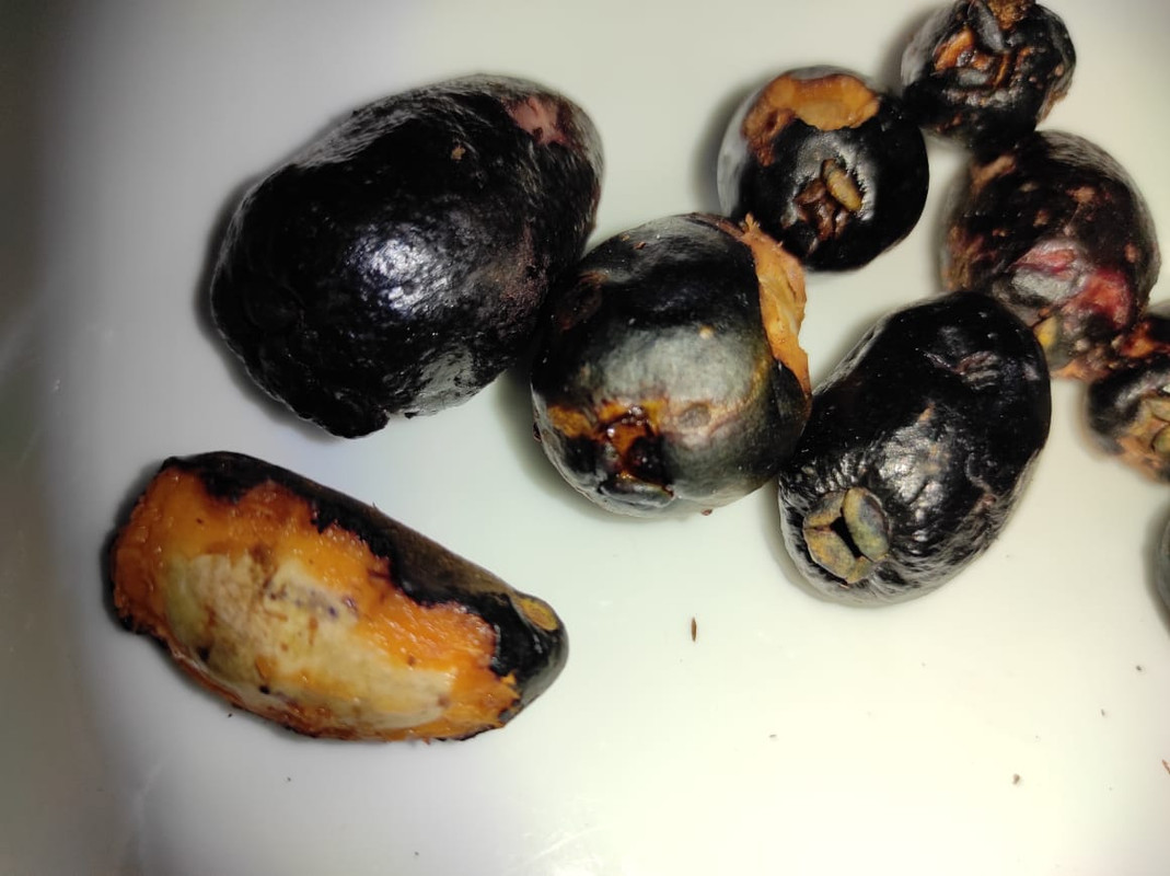 WhatsApp Image 2021-07-16 at 01.12.44 (1)