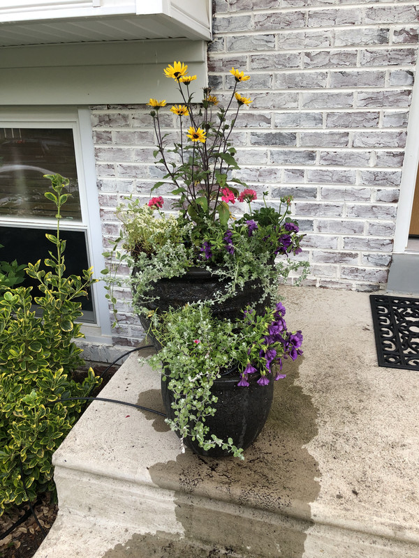 ABAFD2C8-54F4-47CF-806F-25C67A755D3A