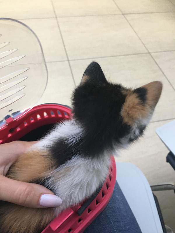 IMG_3475-23-06-18-08-12