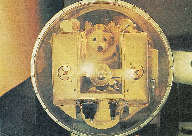 К звездам 24