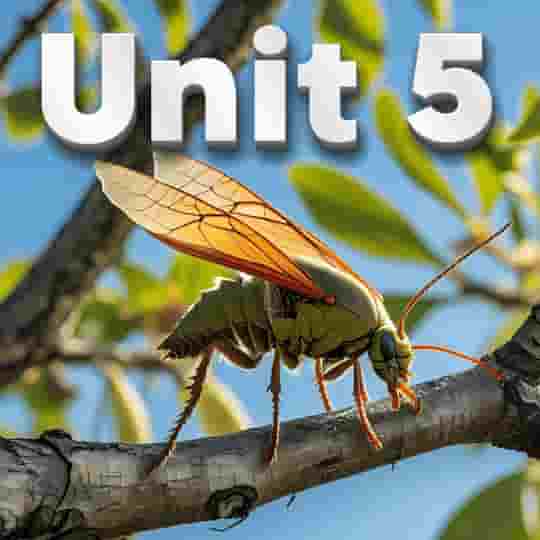 Unit 5