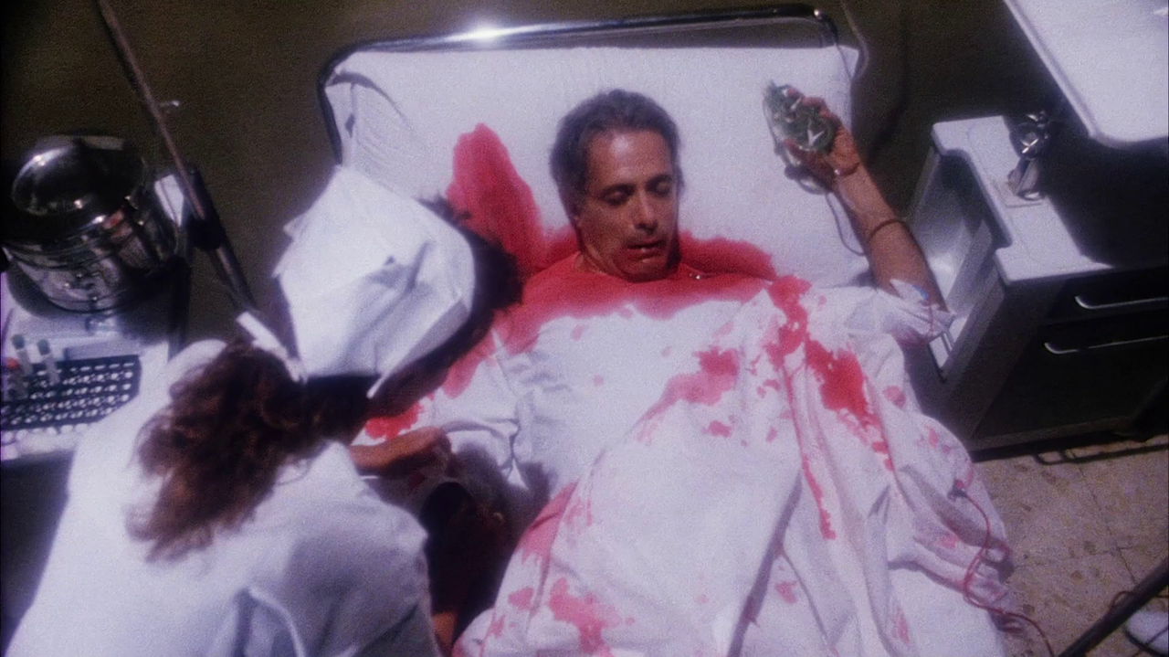 vlcsnap-2023-01-08-14h39m02s606