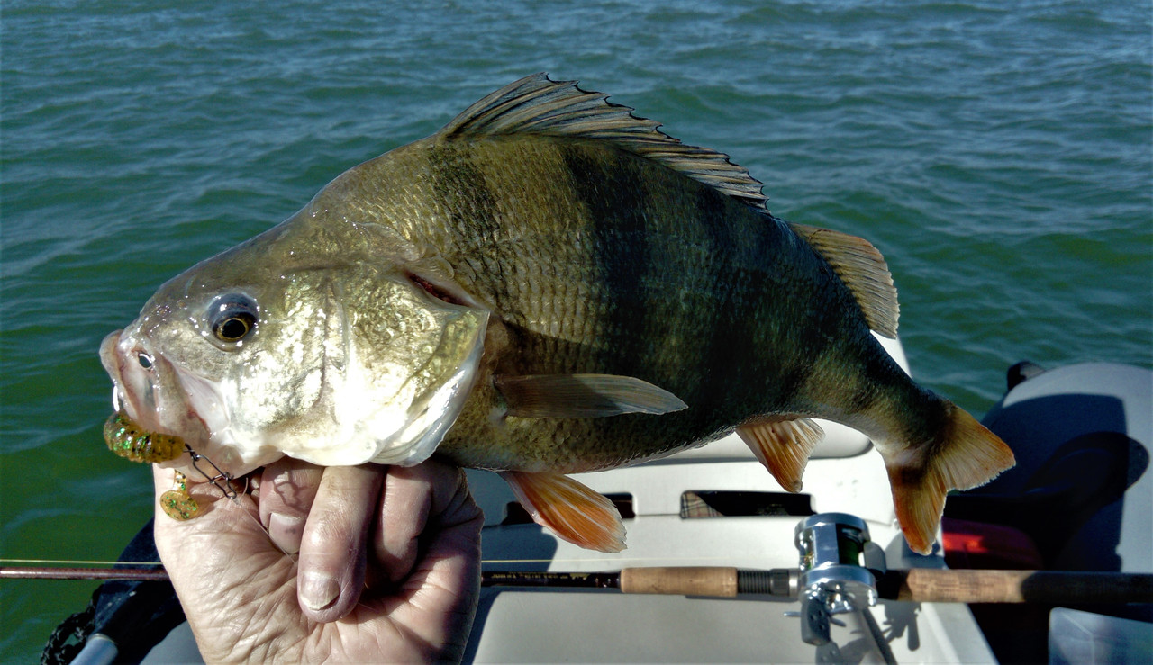 DSC_0994 — копия