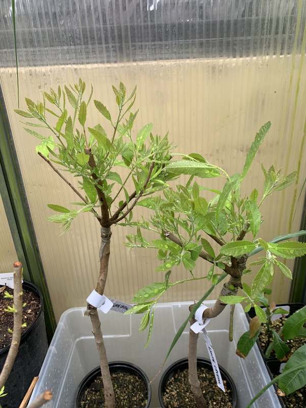 CD26528E-57C6-4935-863C-08FC08F0B42E