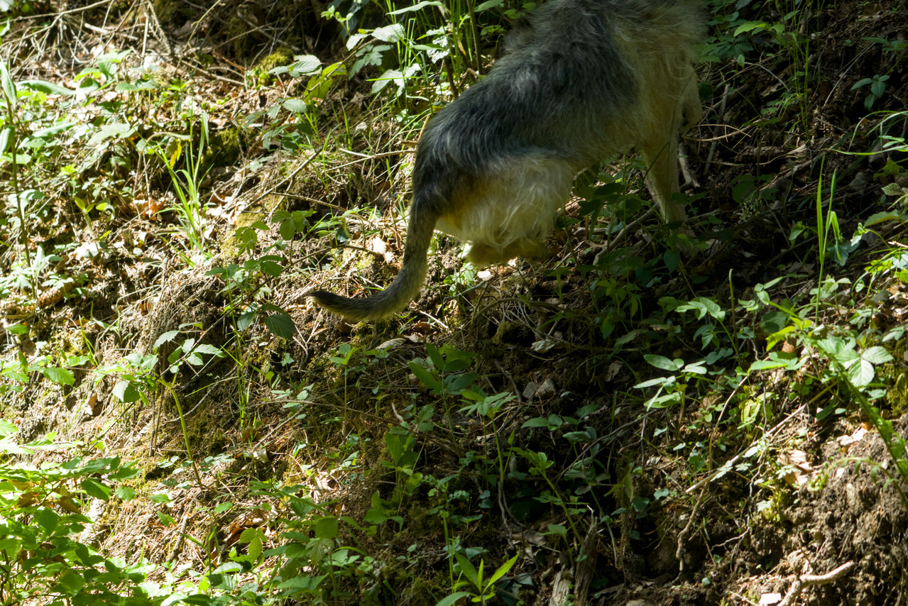 DSC04941