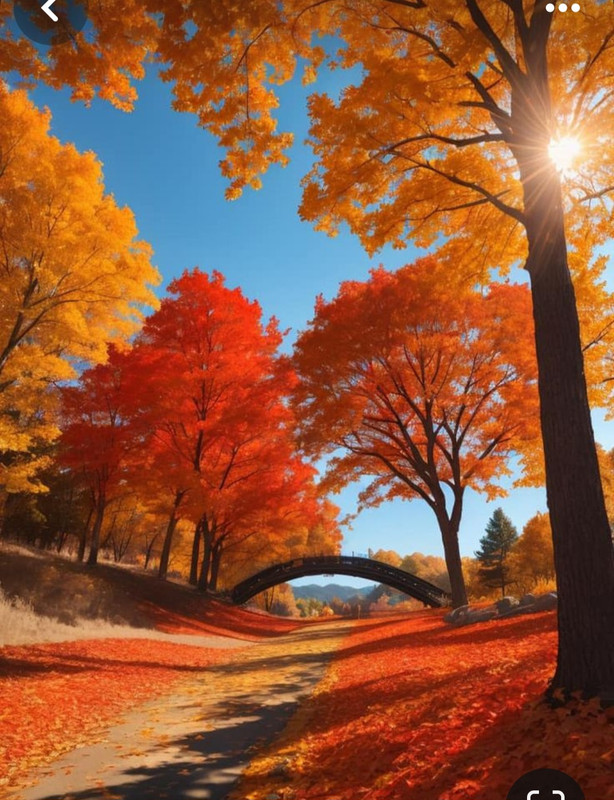 Screenshot_20240218_205910_Pinterest