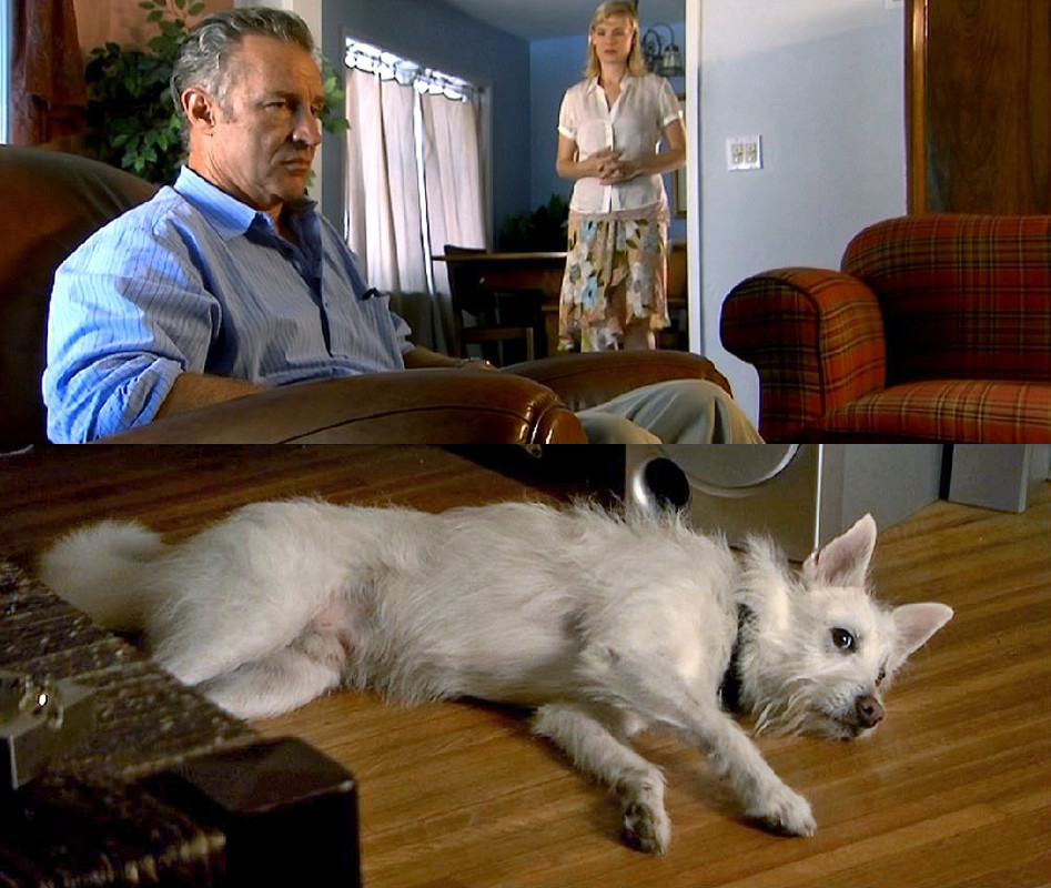 SLEEPING DOGS LIE 01 - Los perros dormidos mienten [2006] [Comedia, drama] [DVD9] [PAL] [Leng. ESP/CAT/ENG] [Subt. ESP/CAT/ENG]