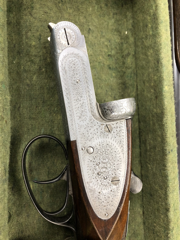 [Linked Image from i.postimg.cc]