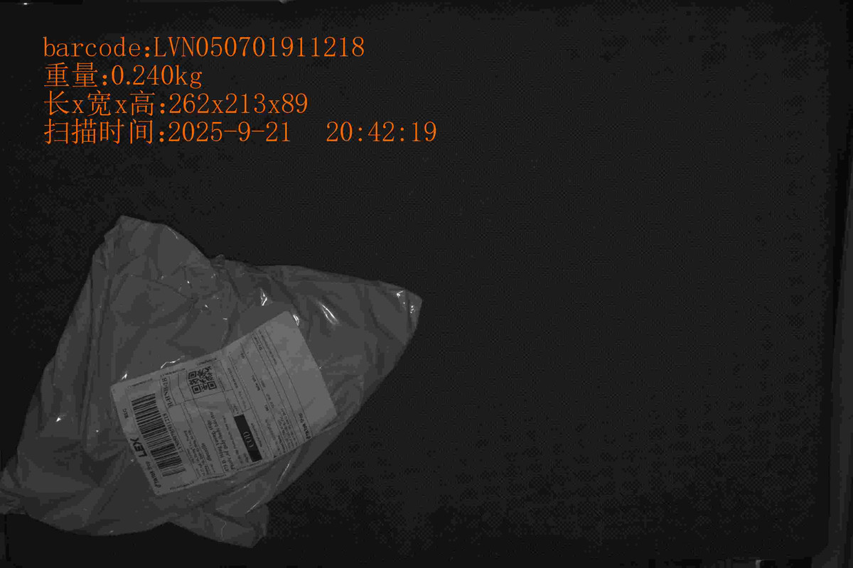 2025921204219_LVN050701911218_0.240_262_213_89