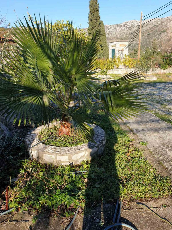 IMG-41e18bdd93e44428903d9076f11d4f2f-V