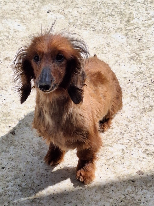 [Image: 20240415-114606.jpg]