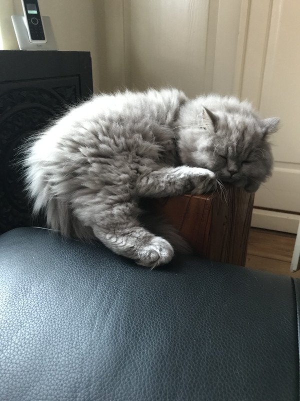 3C871B8B-8053-4732-B121-7752266C95B5