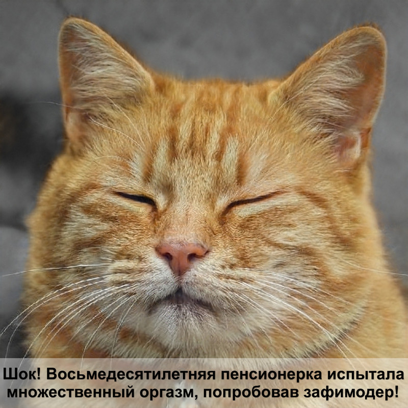 дирофиляриоз у кошек