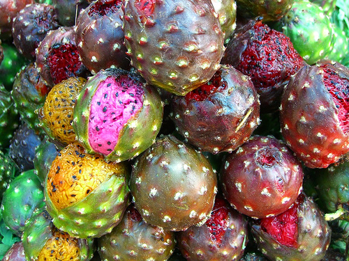 pitaya1