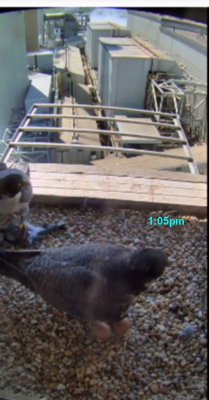 mill creek april 16-3-2019