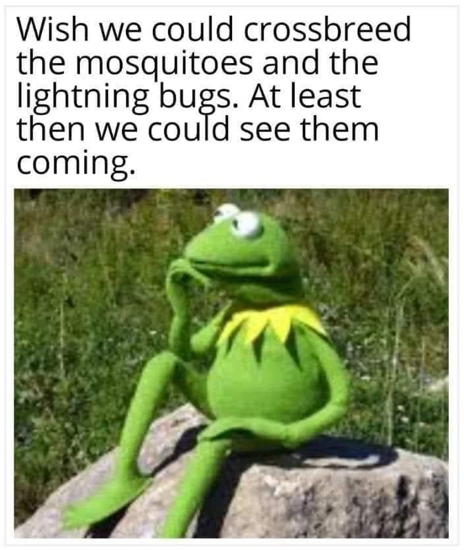 Screenshot 2026 05 19 at 13 08 38 Post a MEME Thread Page 5737 Yellow Bullet Forums