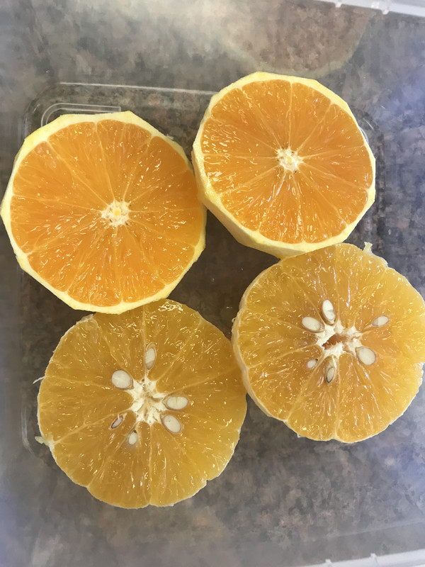 413099DB-AFAB-4DA2-A8A3-4F764056A50E