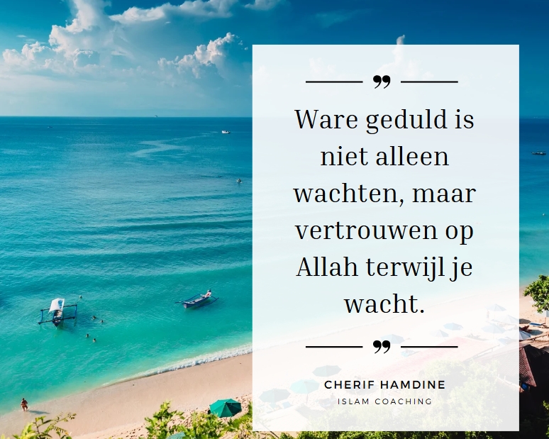 Schermopname-23-3-2025-94127-www-canva-com