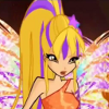 Eo-Tr-Stel-Icon5