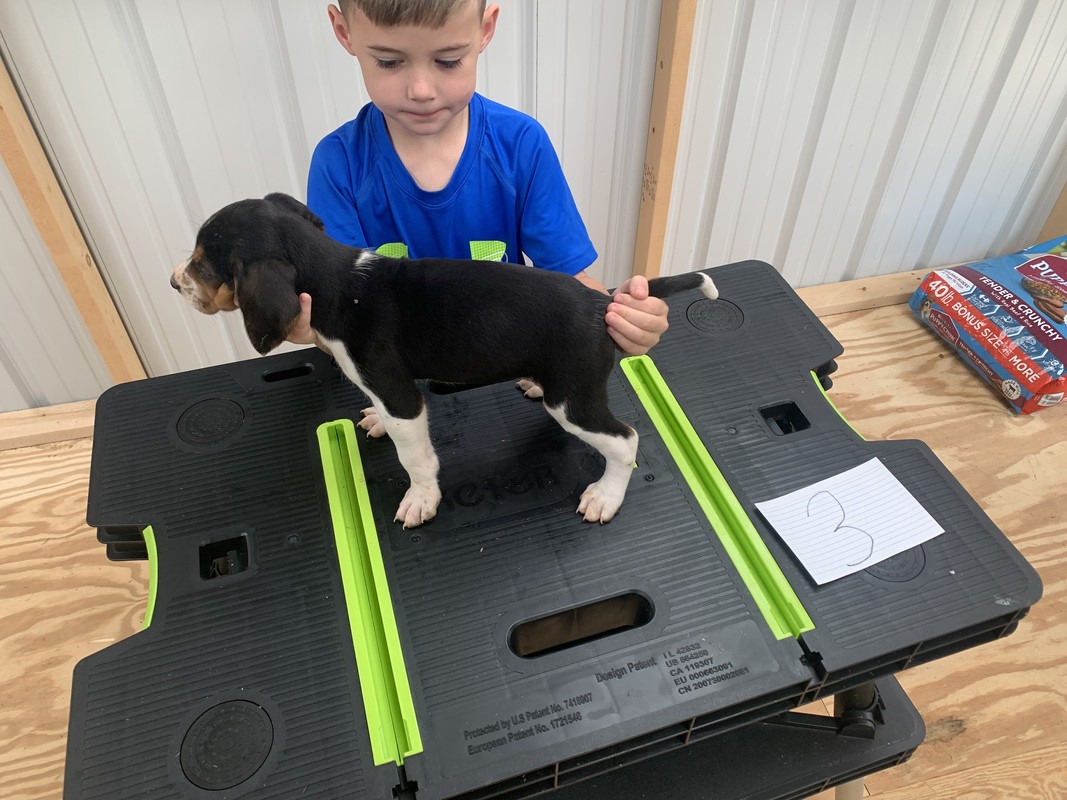 D9245E67-B964-4407-B2AF-75A404166675