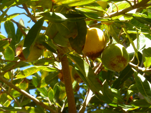 P1050216