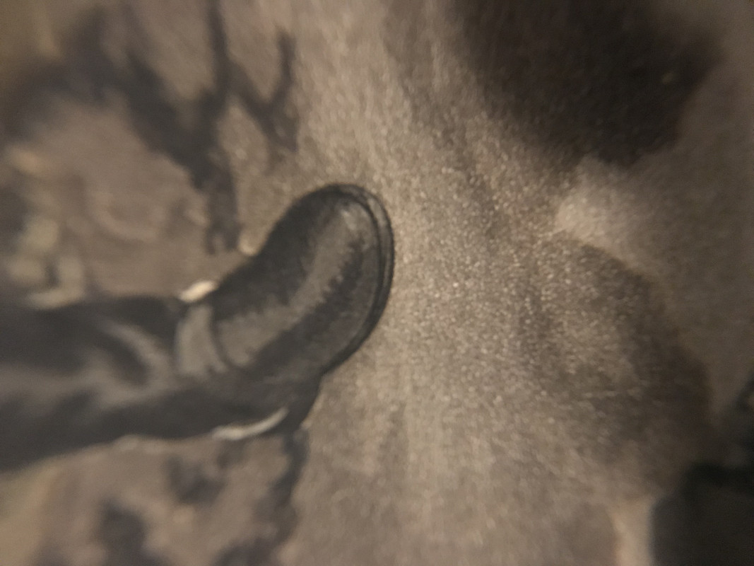 5D340121-0938-4738-BEEE-A10B89EED44E