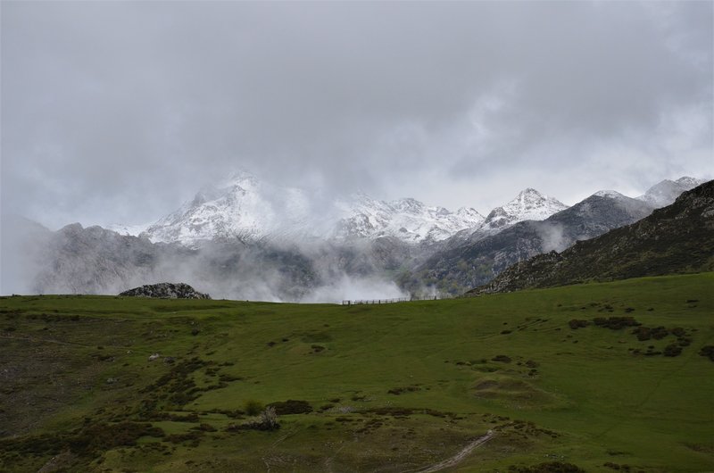 PICOS DE EUROPA-16-5-2013-LEON/ASTURIAS/CANTABRIA - Paseando por España-1991/2016 (32)