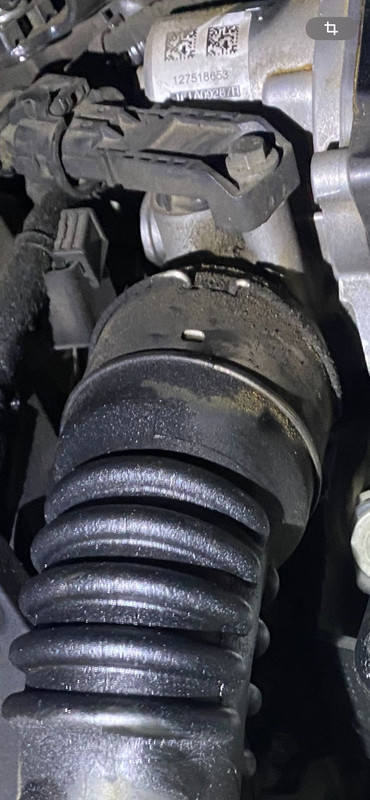 WhatsApp Image 2024-07-29 at 23.04.29