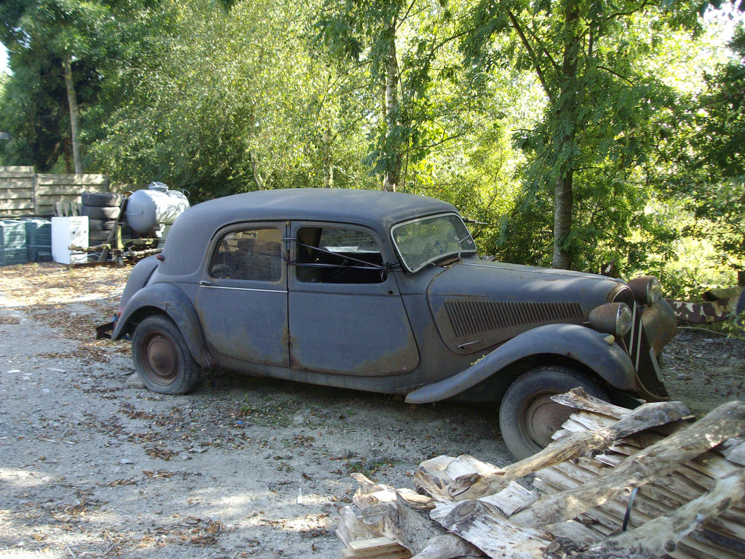 IMGP0496
