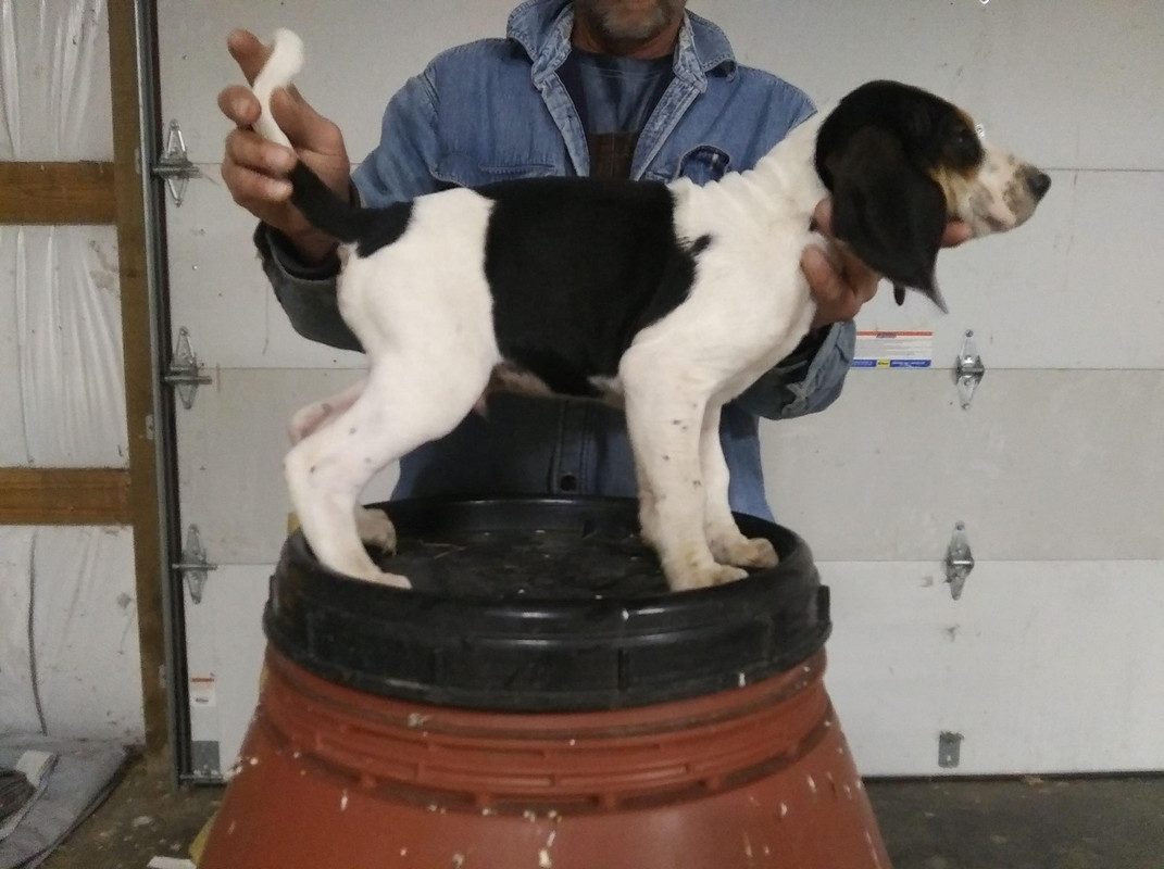 601E4554-681A-42DC-B409-99DB092DD017