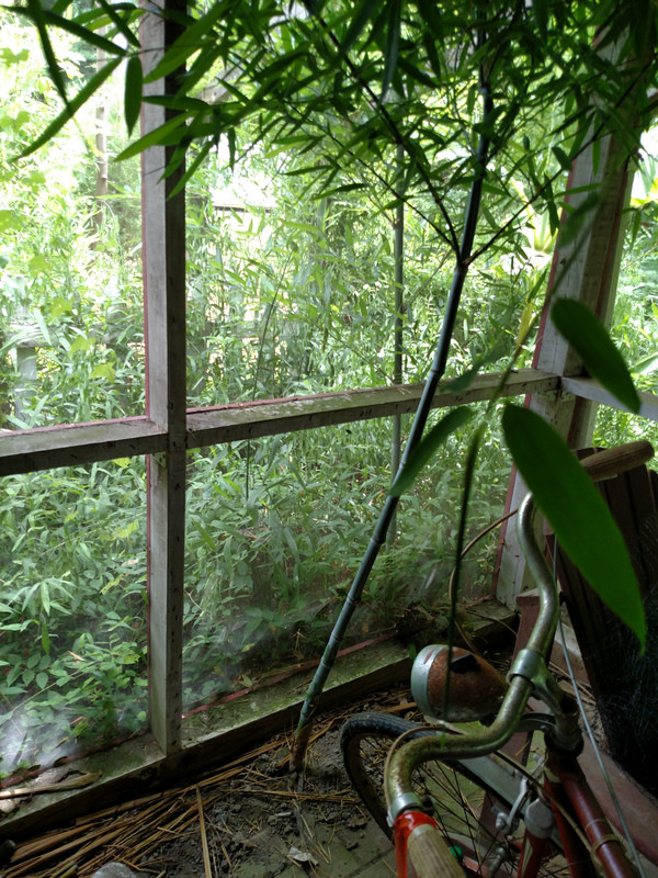 IMG_20180712_123815017