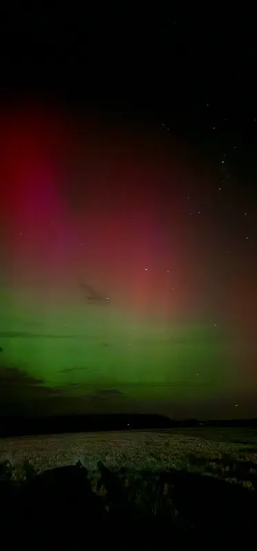 j8QEUCo61j6p2w54KRf9T17wuSS6NVO2tHRiLA_CyVEGBXofvVyujOJv3DvY1lHb91nLYMCqMOilGZXA_lOrtgkX