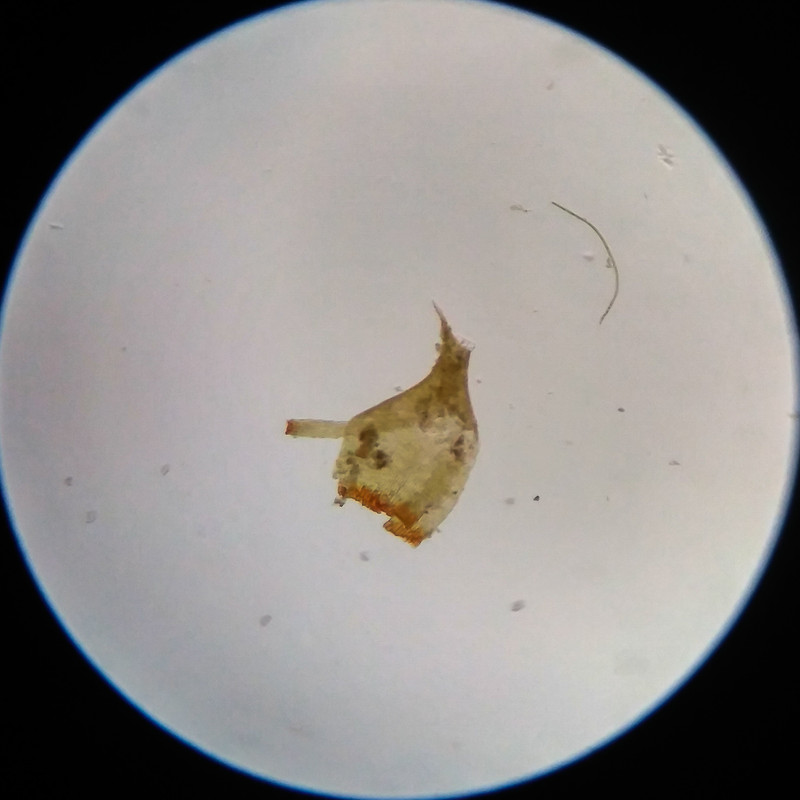 IMG 20250617 111358 HDR