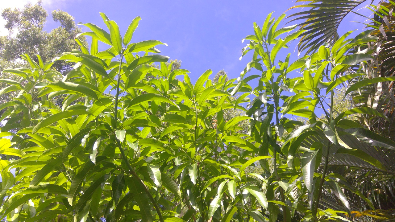 WIN_20190727_10_05_38_Pro