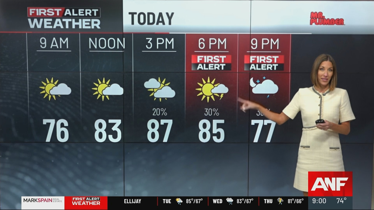 Atlanta News First at 9am_20250617_14001430.ts_snapshot_01.51.851