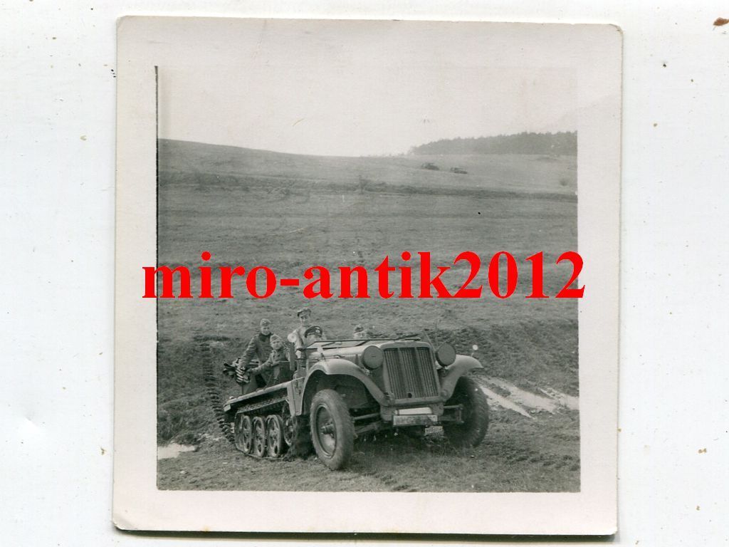 Foto, Wehrmacht, Halbkette, Sdkfz, im Gelände, N