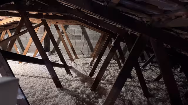 https://i.postimg.cc/FzKZzYZJ/IMG-4972.avif