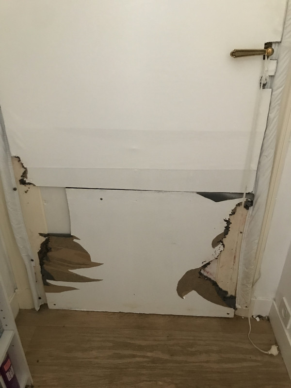 [Image: 2-EAB2-BE0-9938-4865-B900-5578-F0-E56220.jpg]