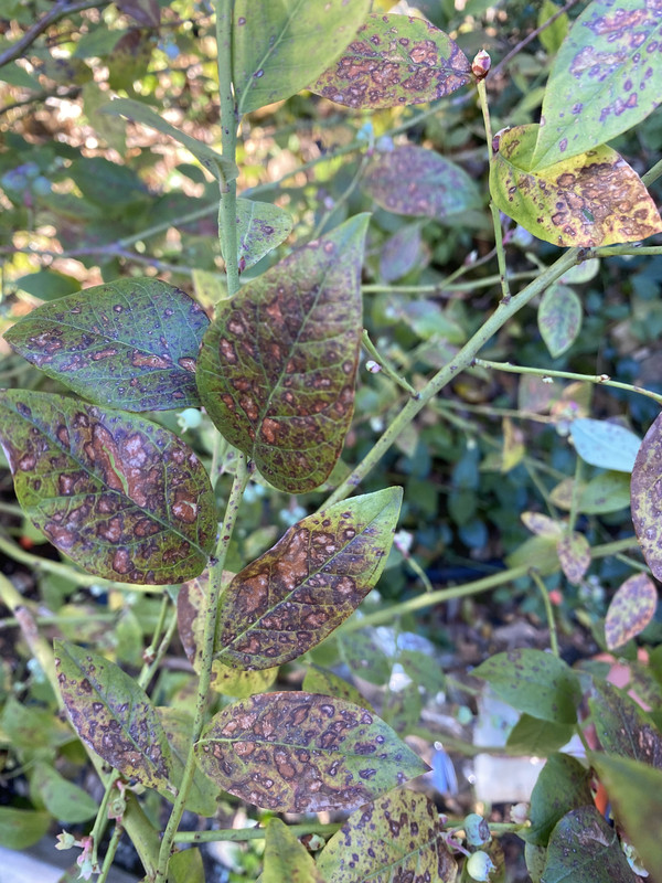 E2A0F9D7-5A41-4FF5-8554-31F50053AF40