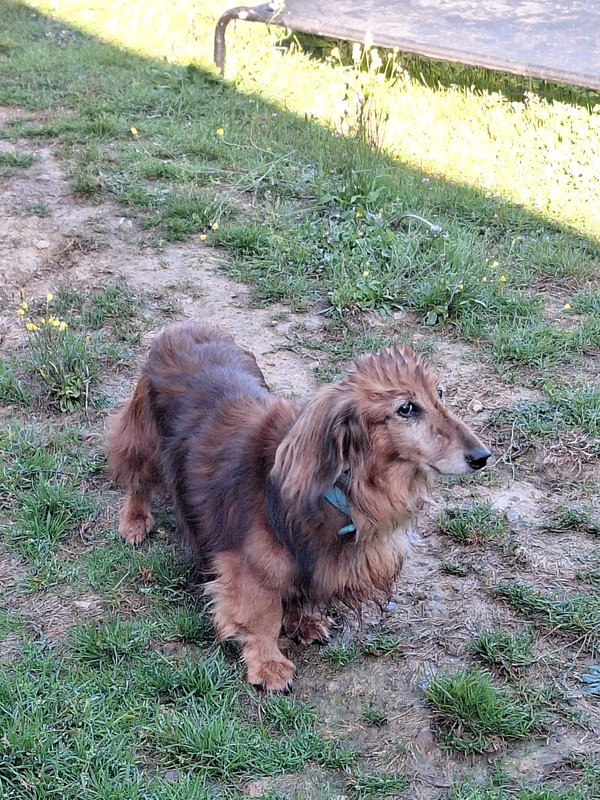 [Image: 20231001-102745.jpg]