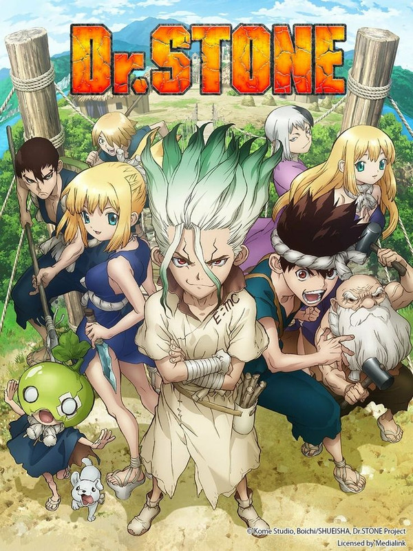 Dr Stone