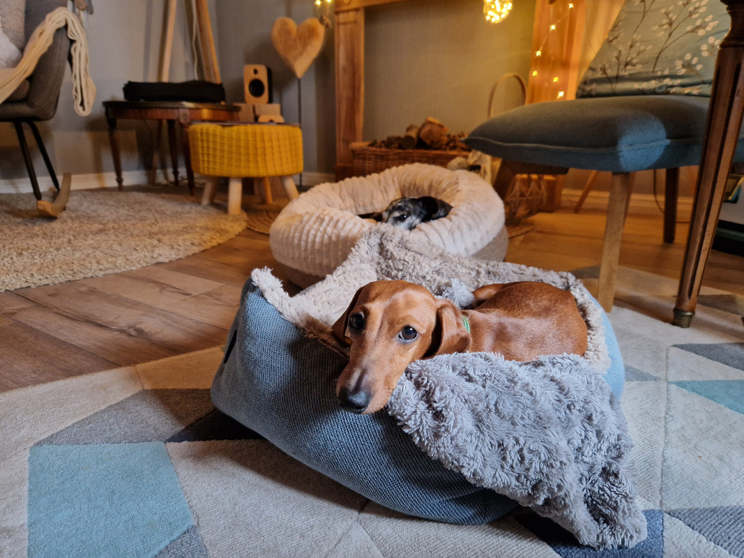 [Image: 20221205-111412.jpg]