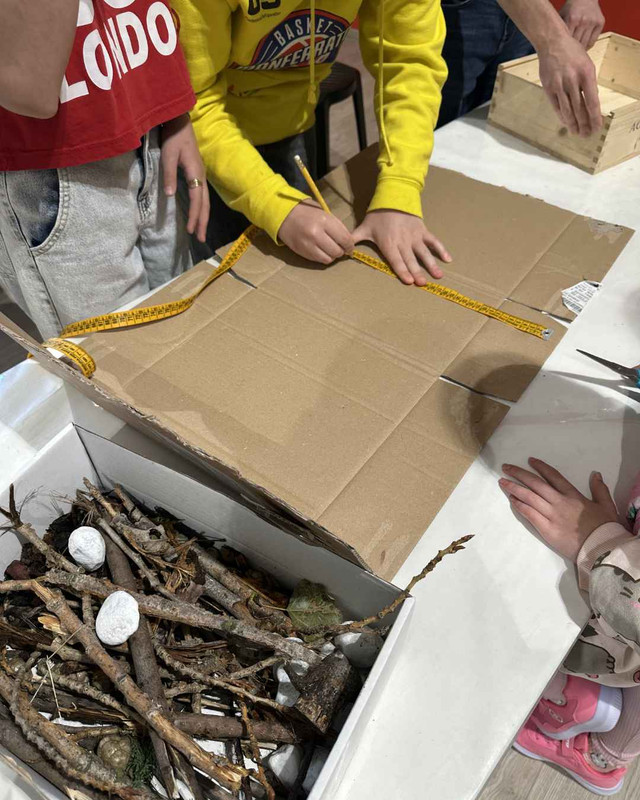 Costruzione e osservazione casetta